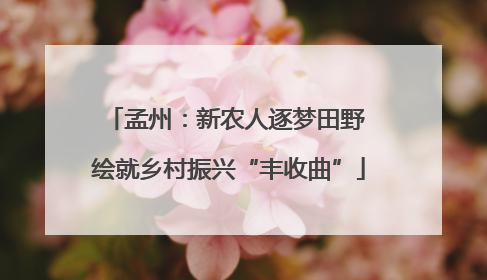 孟州：新农人逐梦田野 绘就乡村振兴“丰收曲”