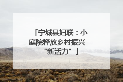 宁城县妇联：小庭院释放乡村振兴“新活力”