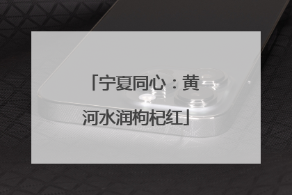 宁夏同心：黄河水润枸杞红