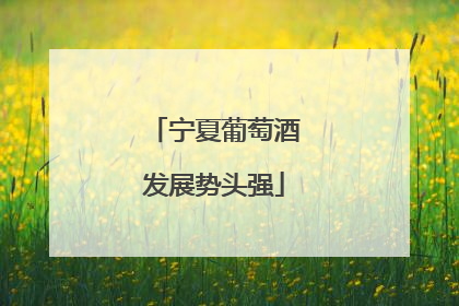 宁夏葡萄酒发展势头强