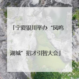 宁夏银川举办“凤鸣湖城”招才引智大会