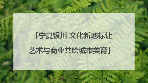 宁夏银川 文化新地标让艺术与商业共绘城市美育