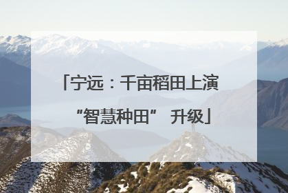 宁远：千亩稻田上演 “智慧种田” 升级
