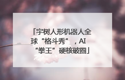 宇树人形机器人全球“格斗秀”，AI“拳王”硬核破圈