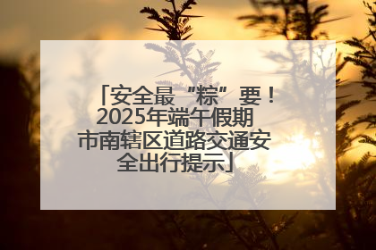安全最“粽”要！2025年端午假期市南辖区道路交通安全出行提示