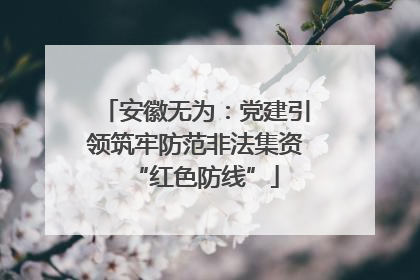 安徽无为：党建引领筑牢防范非法集资“红色防线”