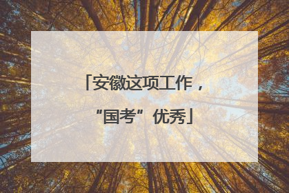 安徽这项工作，“国考”优秀