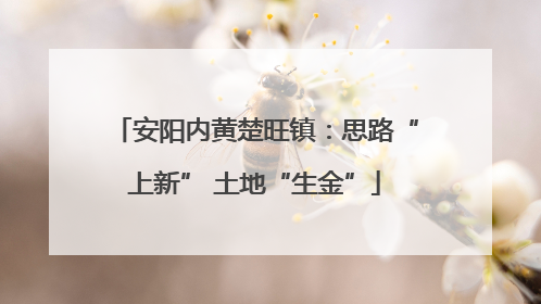 安阳内黄楚旺镇：思路“上新” 土地“生金”