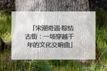 宋潮奇遇·粽情古街：一场穿越千年的文化交响曲