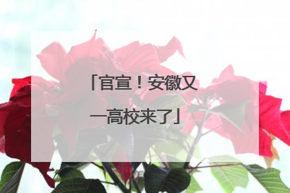 官宣！安徽又一高校来了