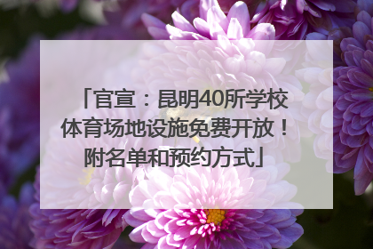 官宣：昆明40所学校体育场地设施免费开放！附名单和预约方式