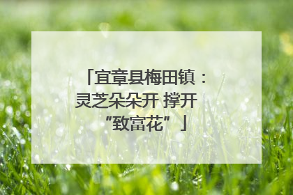 宜章县梅田镇：灵芝朵朵开 撑开“致富花”