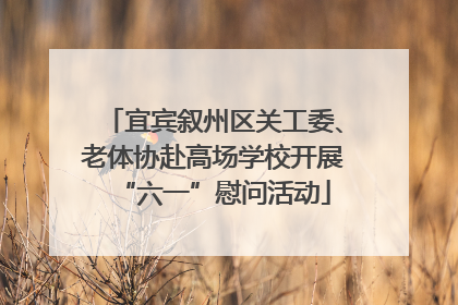 宜宾叙州区关工委、老体协赴高场学校开展“六一”慰问活动