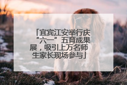 宜宾江安举行庆“六一”五育成果展，吸引上万名师生家长现场参与