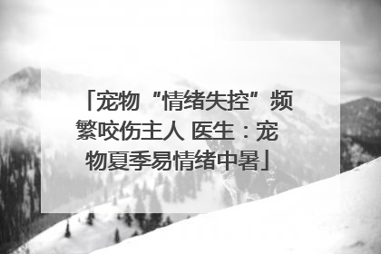 宠物“情绪失控”频繁咬伤主人 医生：宠物夏季易情绪中暑