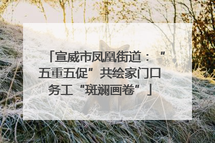 宣威市凤凰街道：“五重五促”共绘家门口务工“斑斓画卷”