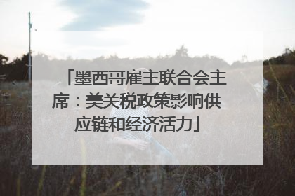 墨西哥雇主联合会主席：美关税政策影响供应链和经济活力