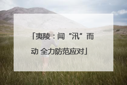 夷陵：闻“汛”而动 全力防范应对
