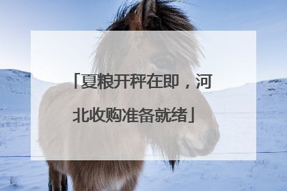 夏粮开秤在即，河北收购准备就绪