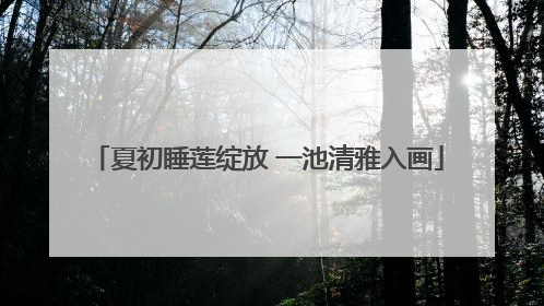 夏初睡莲绽放 一池清雅入画