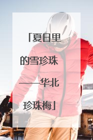 夏日里的雪珍珠——华北珍珠梅