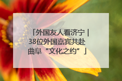 外国友人看济宁｜38位外国嘉宾共赴曲阜“文化之约”