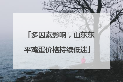 多因素影响，山东东平鸡蛋价格持续低迷