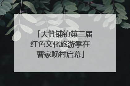 大箕铺镇第三届红色文化旅游季在曹家晚村启幕