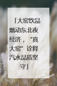 大窑饮品燃动东北夜经济，“真大窑”诠释汽水品质坚守