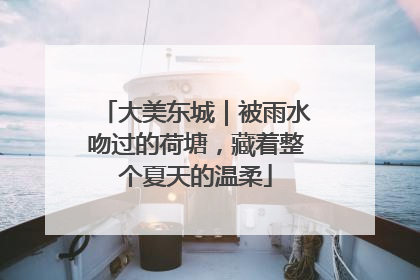 大美东城｜被雨水吻过的荷塘，藏着整个夏天的温柔