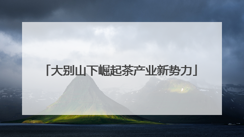 大别山下崛起茶产业新势力