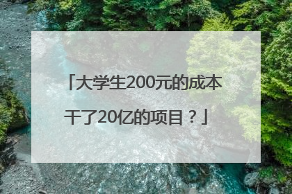 大学生200元的成本干了20亿的项目？
