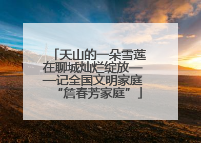 天山的一朵雪莲在聊城灿烂绽放——记全国文明家庭“詹春芳家庭”
