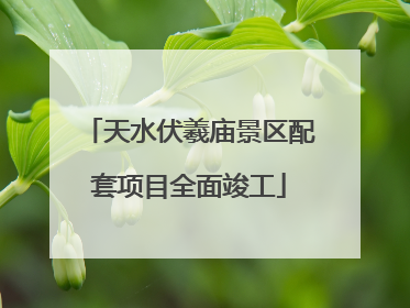 天水伏羲庙景区配套项目全面竣工