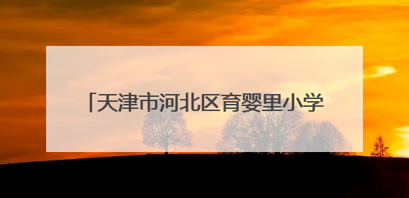 天津市河北区育婴里小学国际象棋共建基地启航