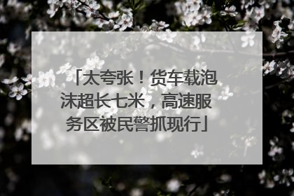 太夸张！货车载泡沫超长七米，高速服务区被民警抓现行