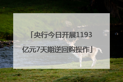 央行今日开展1193亿元7天期逆回购操作
