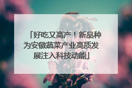 好吃又高产！新品种为安徽蔬菜产业高质发展注入科技动能