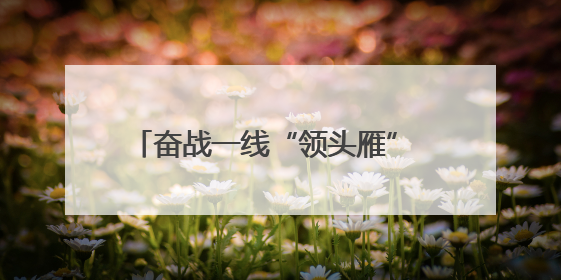 奋战一线“领头雁” 躬身实干“老黄牛”