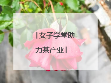 女子学堂助力茶产业