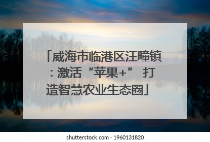 威海市临港区汪疃镇：激活“苹果+” 打造智慧农业生态圈