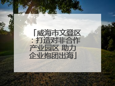 威海市文登区：打造对非合作产业园区 助力企业抱团出海