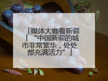媒体大咖看新疆丨“中国新疆的城市非常繁华，处处都充满活力”