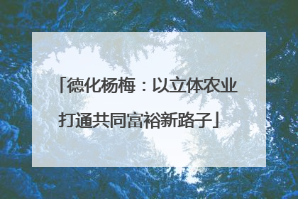 德化杨梅：以立体农业打通共同富裕新路子
