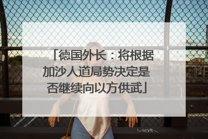 德国外长：将根据加沙人道局势决定是否继续向以方供武