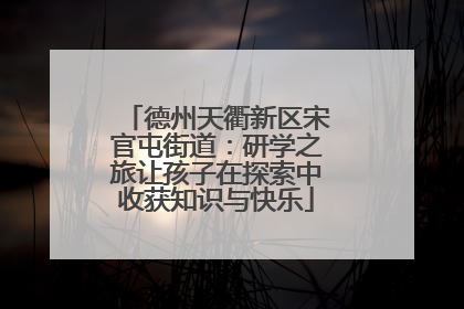 德州天衢新区宋官屯街道：研学之旅让孩子在探索中收获知识与快乐