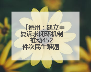 德州：建立重复诉求闭环机制 推动452 件次民生难题 “案结事了”