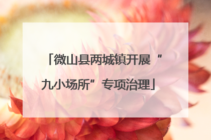 微山县两城镇开展“九小场所”专项治理