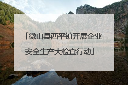 微山县西平镇开展企业安全生产大检查行动