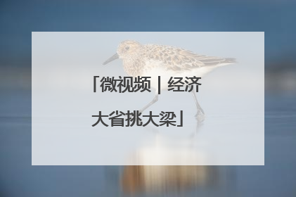 微视频｜经济大省挑大梁